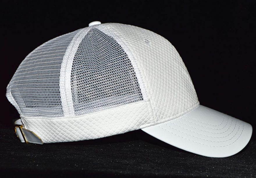 Simpwht01